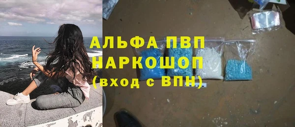 индика Алзамай