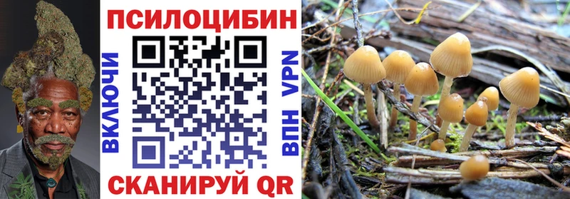 Галлюциногенные грибы Cubensis  Приозерск 