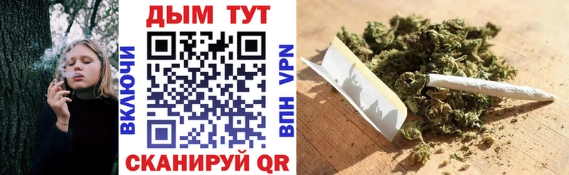 где продают   Приозерск  МАРИХУАНА план 